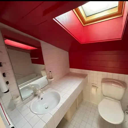 Dach-panorama-wohnung - 5min Zum Lift Zu Fuss アパート *