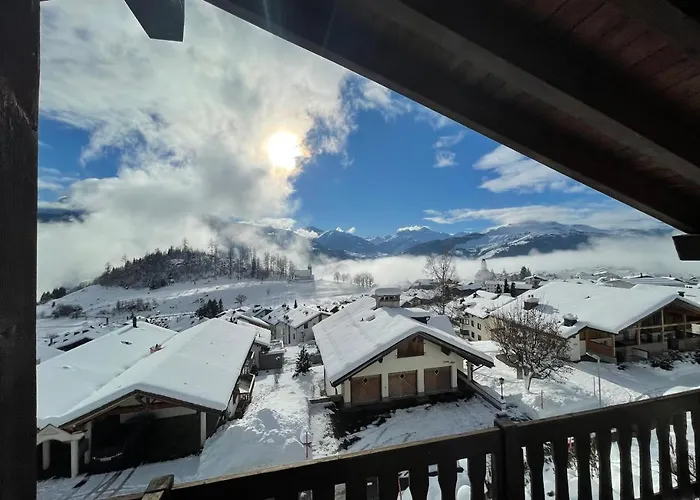 Dach-panorama-wohnung - 5min Zum Lift Zu Fuss Appartement *